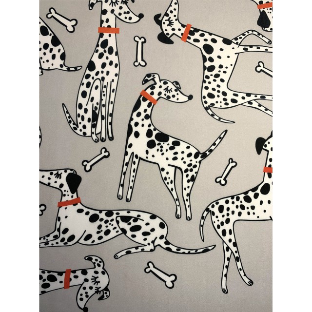 Dalmatians Scarf